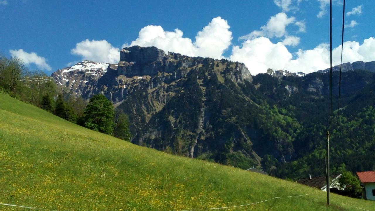Gaestehaus Lutz Mellau Dış mekan fotoğraf